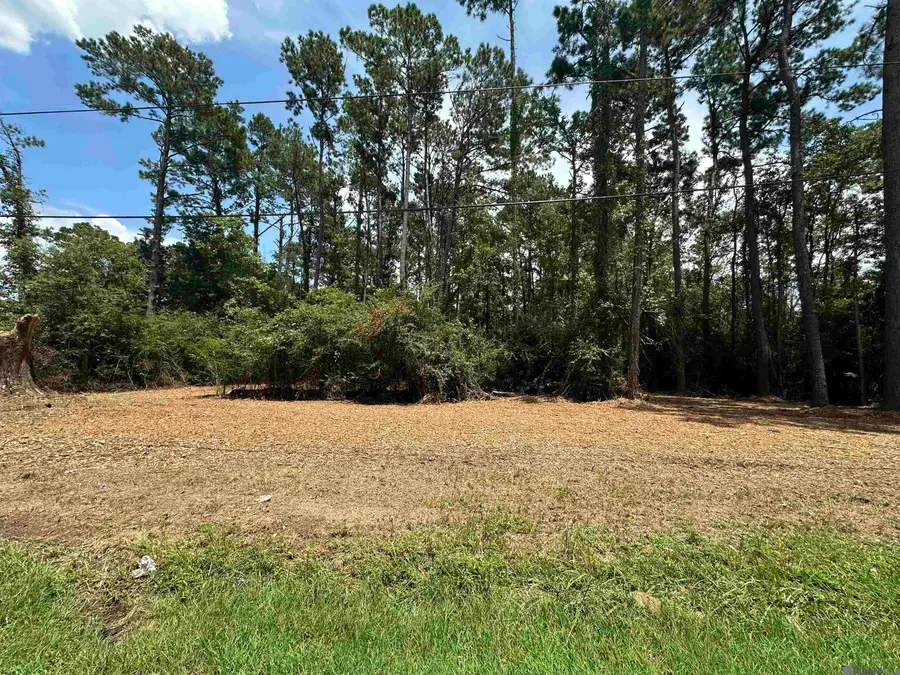1600 Norma Dr, Denham Springs, LA 70726 - #3