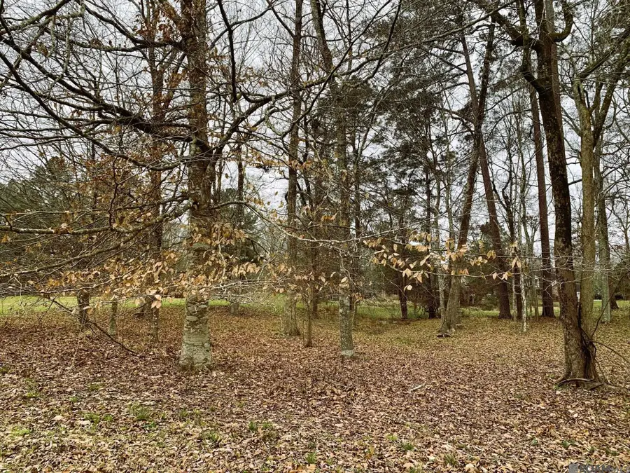 14080 Clubhouse Way Dr, Saint Francisville, LA 70775 - Image #3