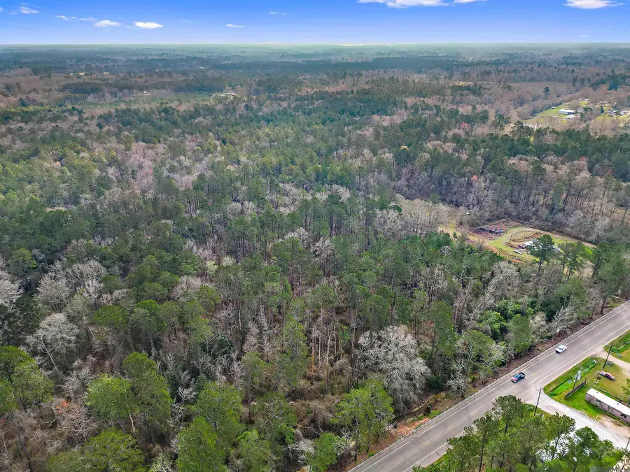 TBD Highway 51, Tickfaw, LA 70466 - Image #2