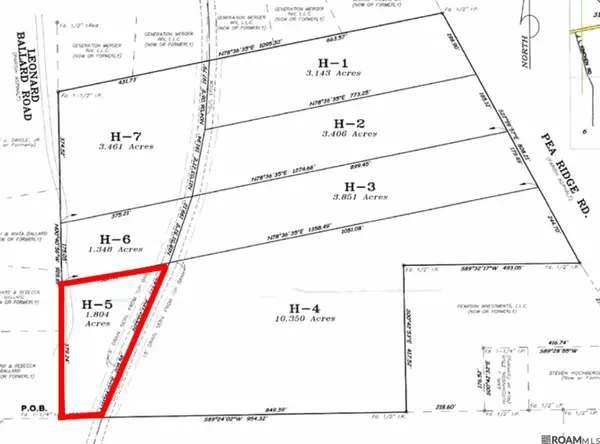 TBD H-5 Pea Ridge Rd, Albany, LA 70711