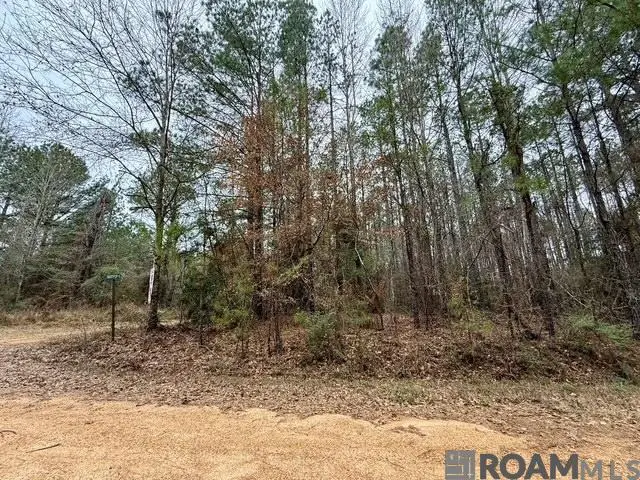 0 Maypop Lane, Meadville, MS 39653 - Image #2
