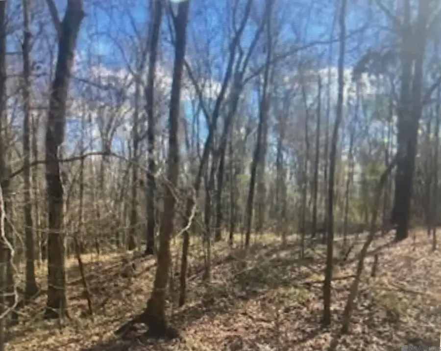 00 Turkey Creek Rd, Natchez, MS 39120 - Image #2