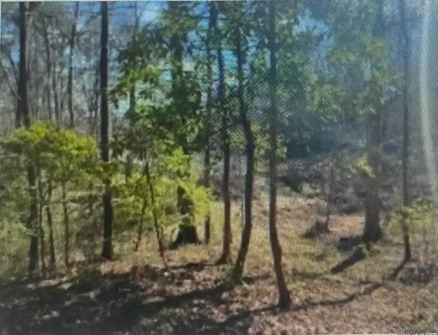 LOT 12 Turkey Creek Rd, Natchez, MS 39120 - Image #3
