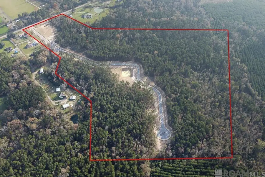 18368 Settlement Trace, Livingston, LA 70754 - Image #2