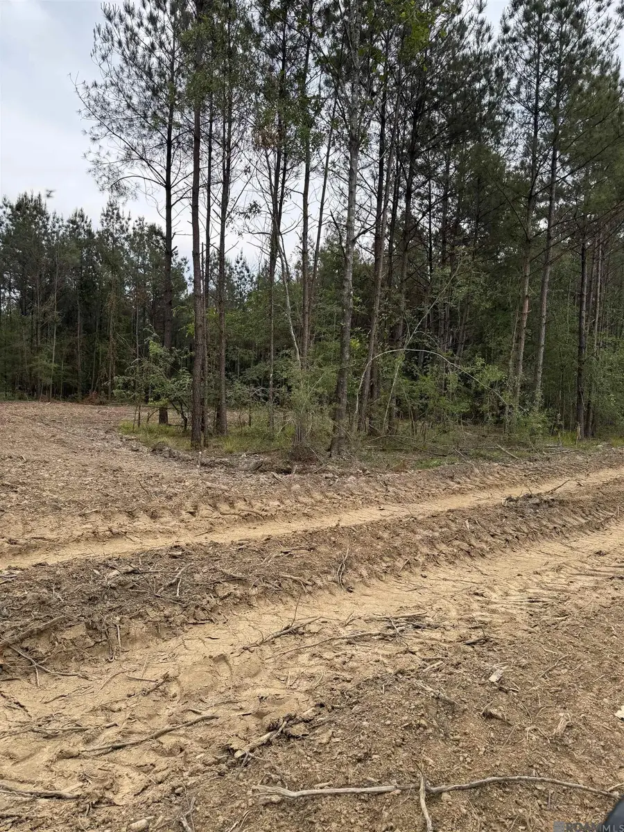 Lot 11 Honey Grove, Livingston, LA 70754 - Image #3
