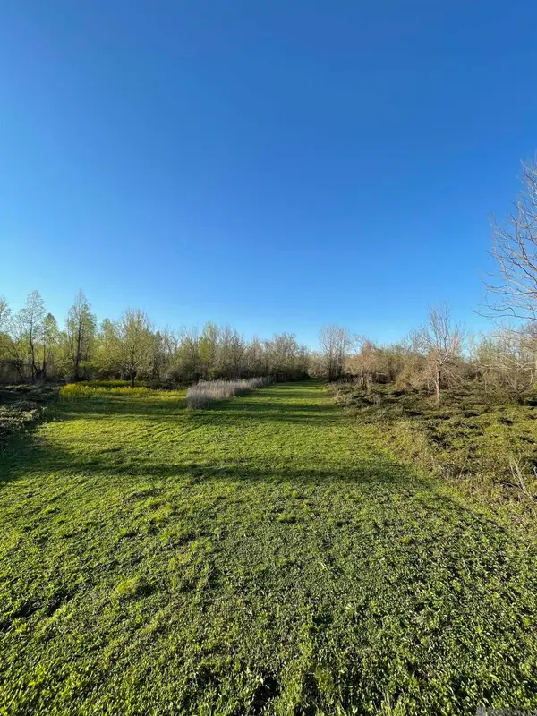 TBD Cat Island Rd, St Francisville, LA 70775