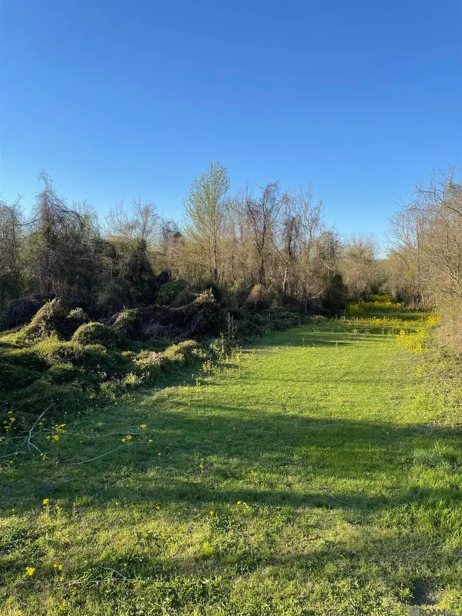 TBD Cat Island Rd, Saint Francisville, LA 70775 - Image #3