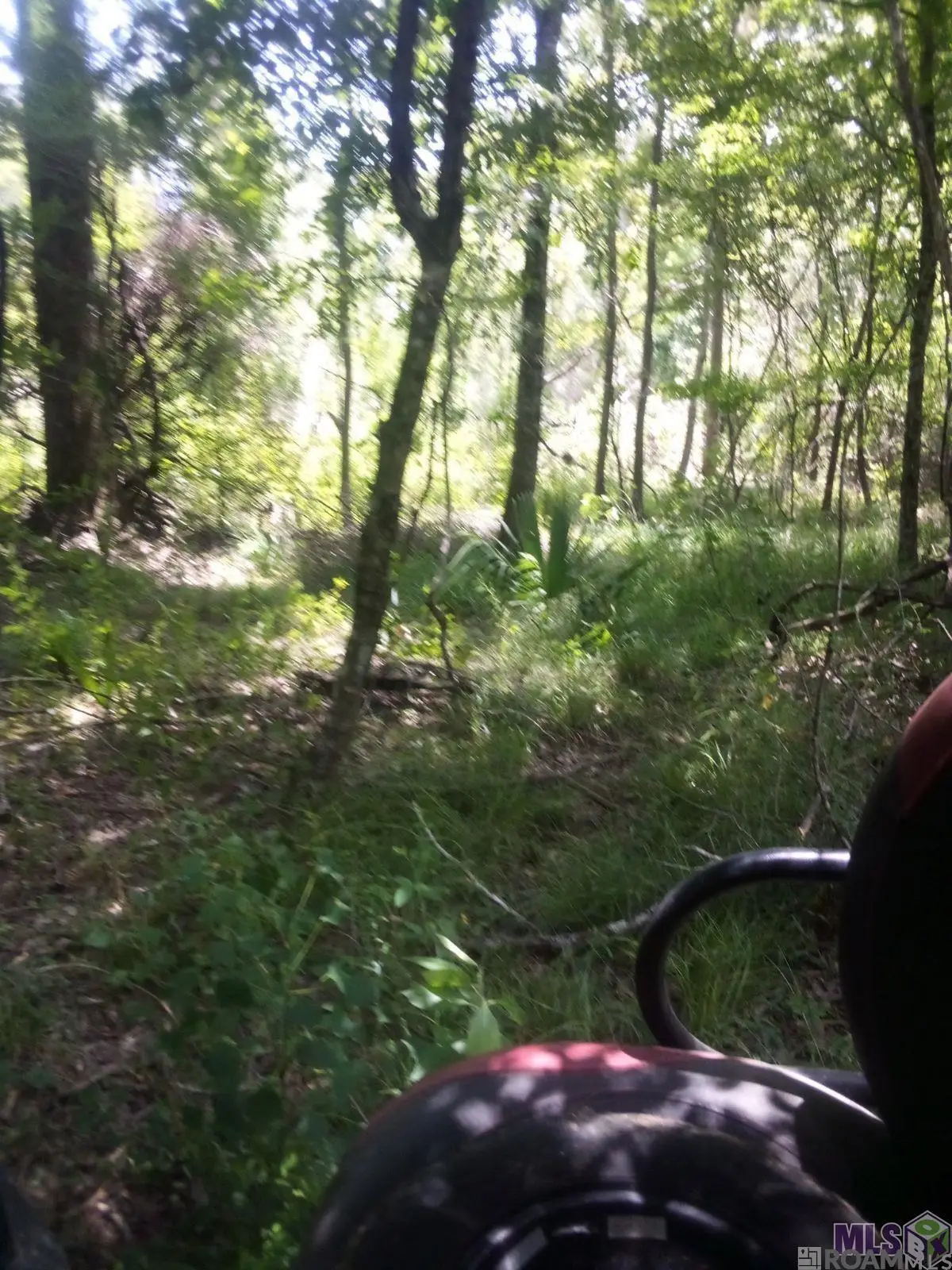 TBD Kathy's Cv, Walker, LA 70785 - Image #1