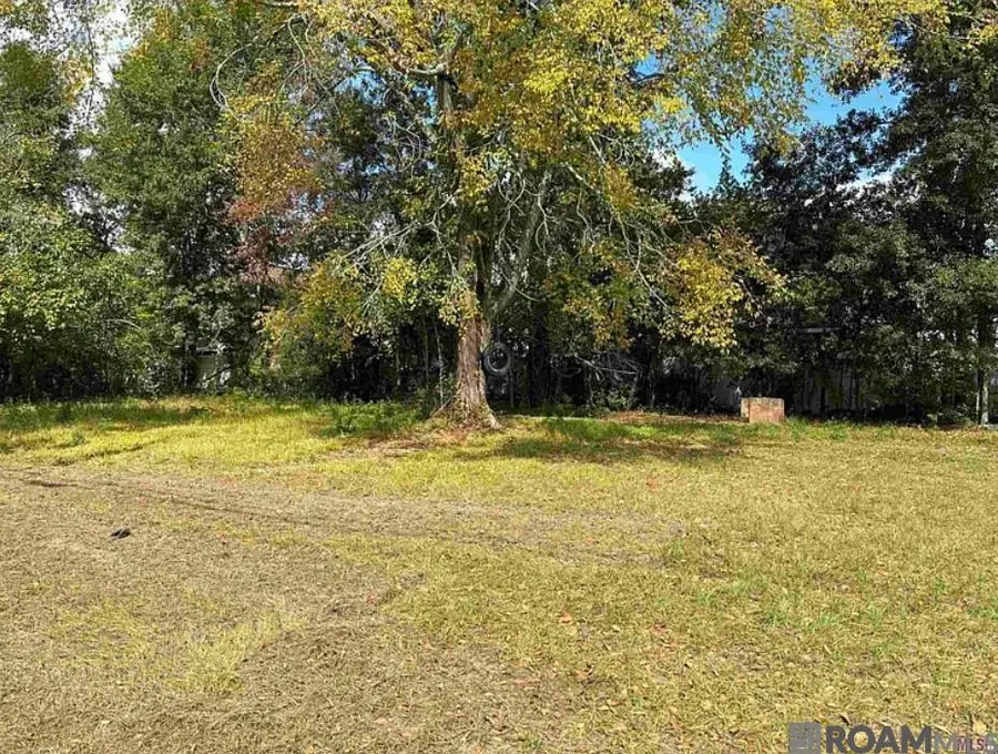 545 Cotton, Baton Rouge, LA 70802 - Image #3