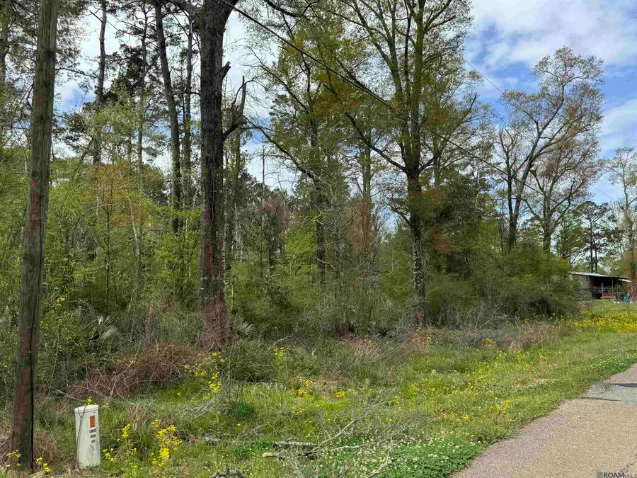TBD Vincent Place Ave, Denham Springs, LA 70726 - Image #2