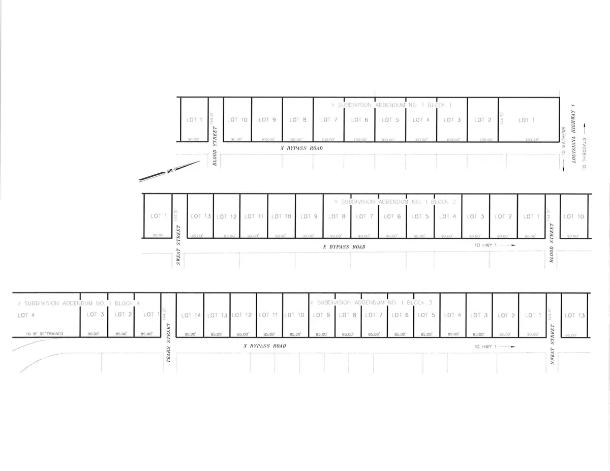218 X Bypass Road, Raceland, LA 70394 - #1