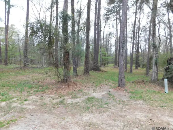 13812 Sweetwoods Hollow Dr, St Francisville, LA 70775