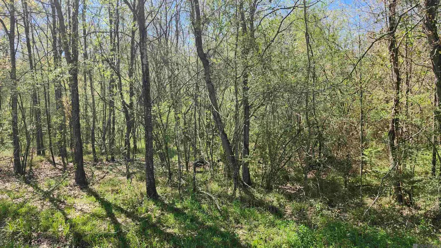 TBD Sunnybrook Dr, Baton Rouge, LA 70814 - Image #3