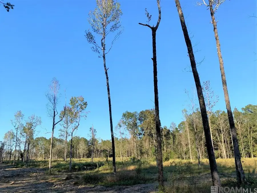 1A La Hwy 63, Clinton, LA 70722 - Image #3