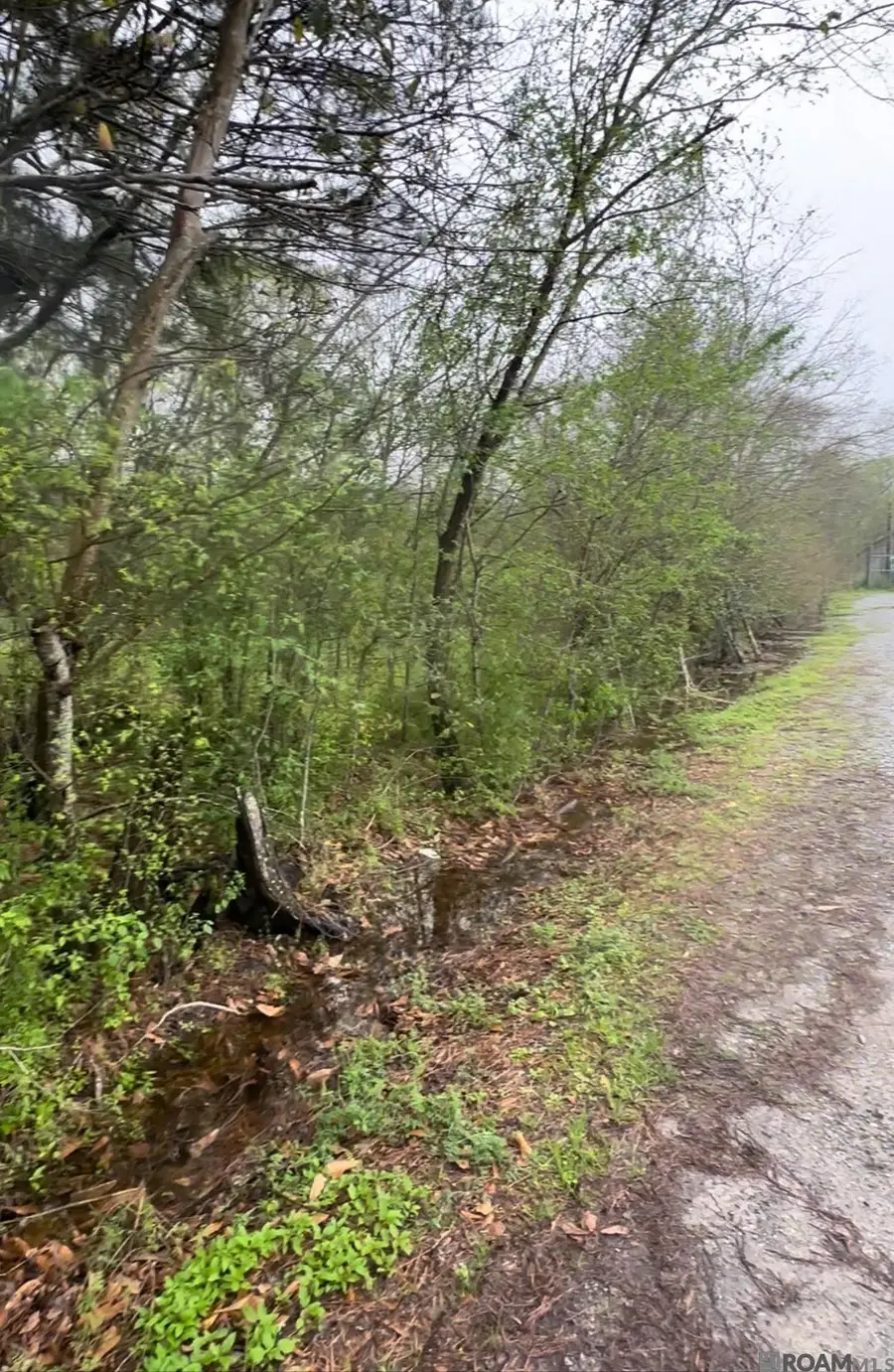 TBD Highway 23, Belle Chasse, LA 70037 - Image #2