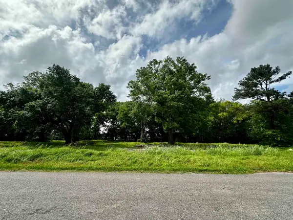 131 Rodriguez Ln, Raceland, LA 70394