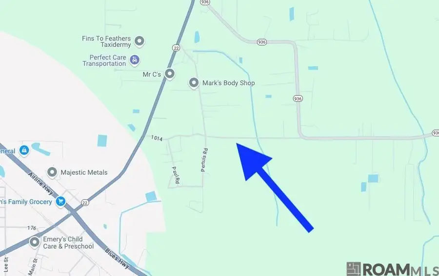 Tract 2-A-2 Melancon Rd, Saint Amant, LA 70774 - Image #3