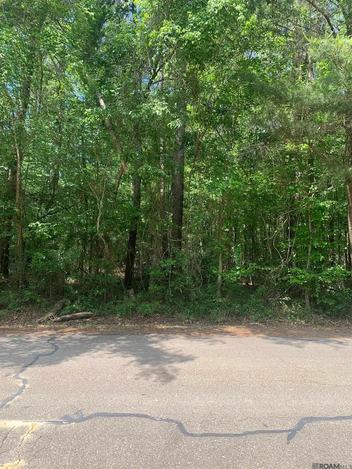 1.362 acres Winfield Ben, Walker, LA 70785 - Image #1