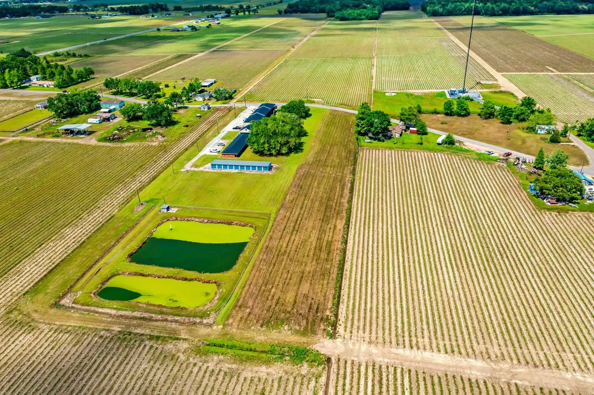 TBD Leblanc Court, Lottie, LA 70732 - #1