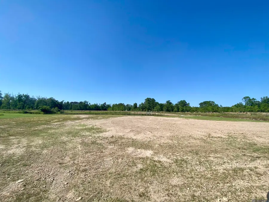 45238 Butch Gore Rd, Saint Amant, LA 70774 - Image #3
