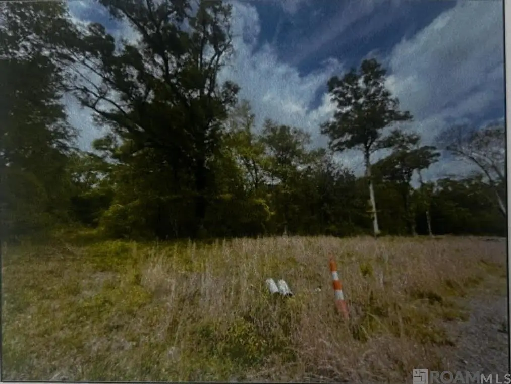 24041 Reames Rd, Zachary, LA 70791 - Image #1