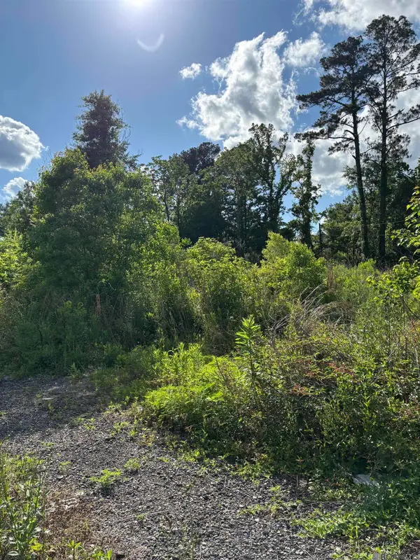 25739 Gill Rd, Denham Springs, LA 70726