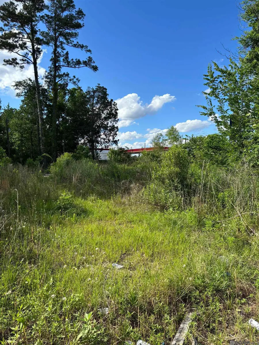 25739 Gill Rd, Denham Springs, LA 70726 - Image #2