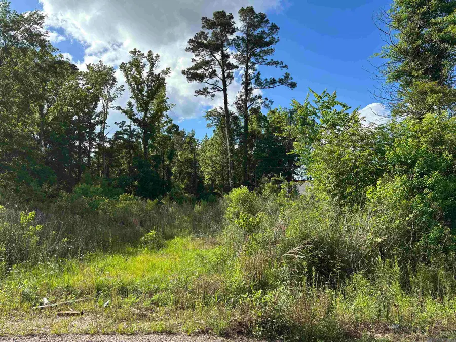 25739 Gill Rd, Denham Springs, LA 70726 - Image #3