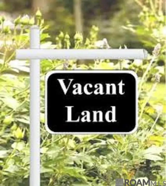 14314 Bluff Pass Dr, Prairieville, LA 70769 - Image #1