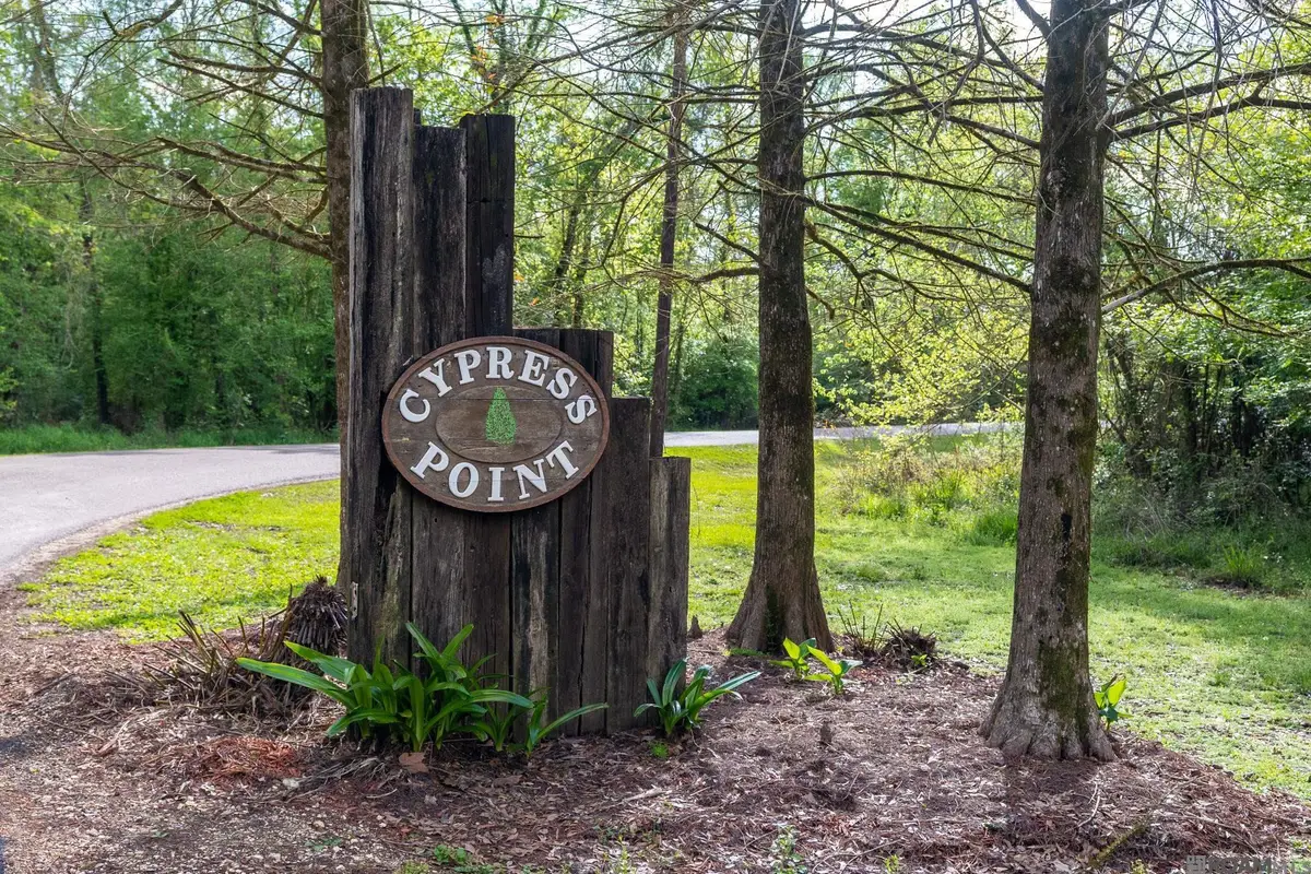 15781 Cypress Point Ln, French Settlement, LA 70733 - Image #1