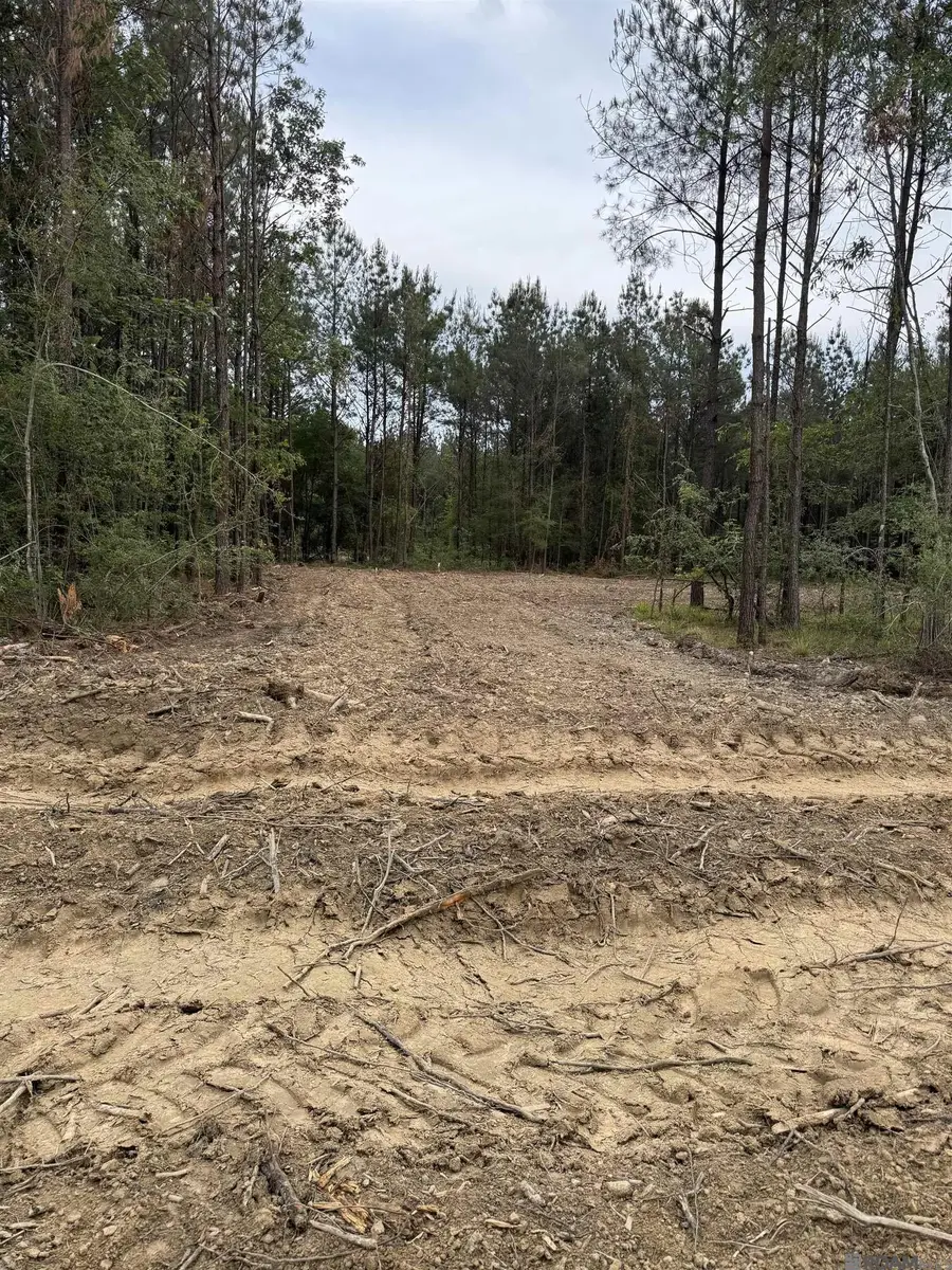 Lot 21 Honey Grove, Livingston, LA 70754 - Image #3