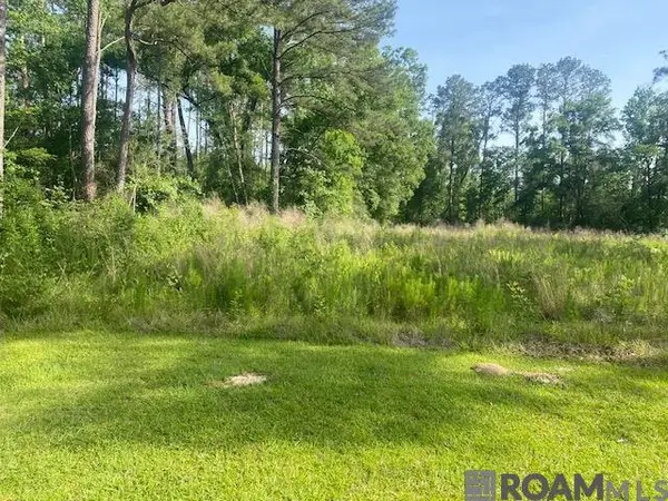 61199 Hwy 1046, Amite, LA 70422