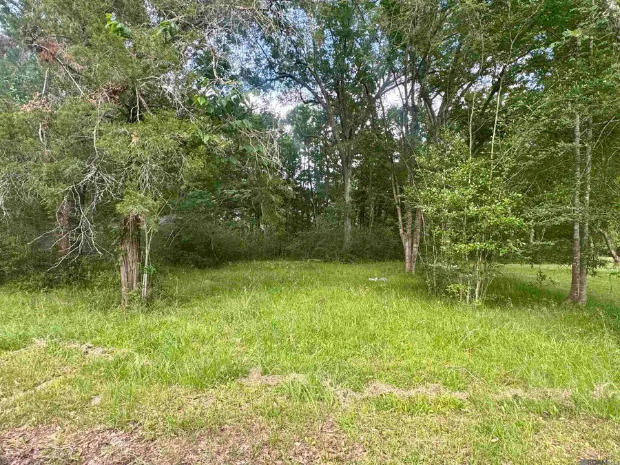 1306 Hazeloak Dr, Baker, LA 70714 - Image #2