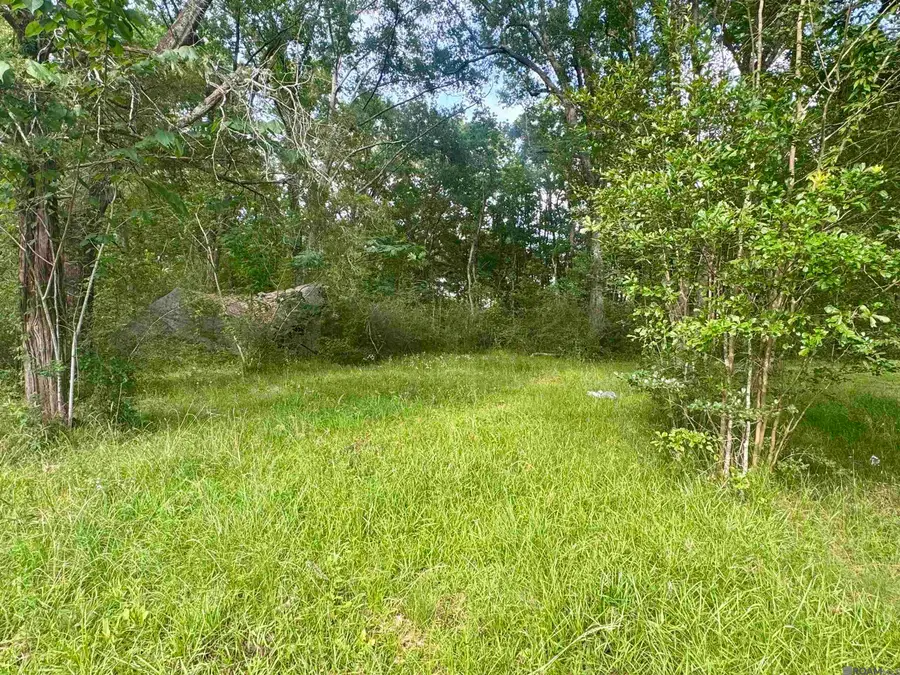 1306 Hazeloak Dr, Baker, LA 70714 - Image #3