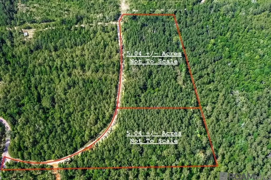 TBD Pipes Ln, Liberty, MS 39645 - Image #3