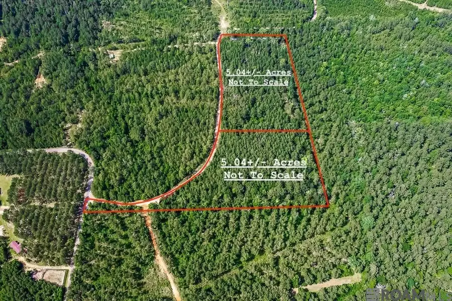 TBD Pipes Ln, Liberty, MS 39645 - Image #2