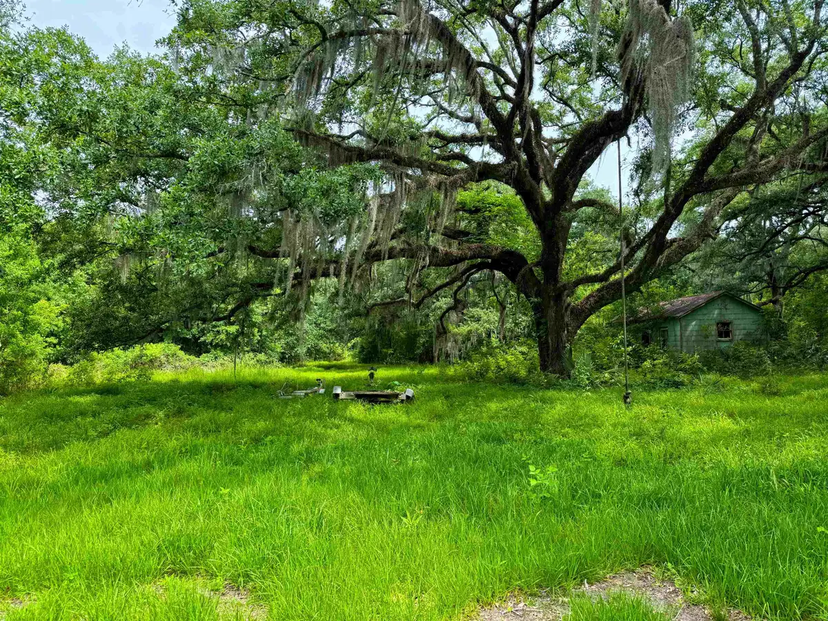 tbd Michel Rd, Pierre Part, LA 70339 - #1