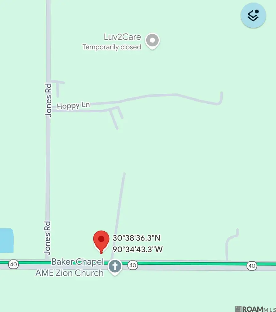 29189 W La-40 Highway, Independence, LA 70443 - Image #2