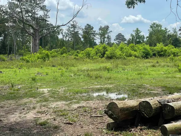 17068 La Hwy 933, Prairieville, LA 70769