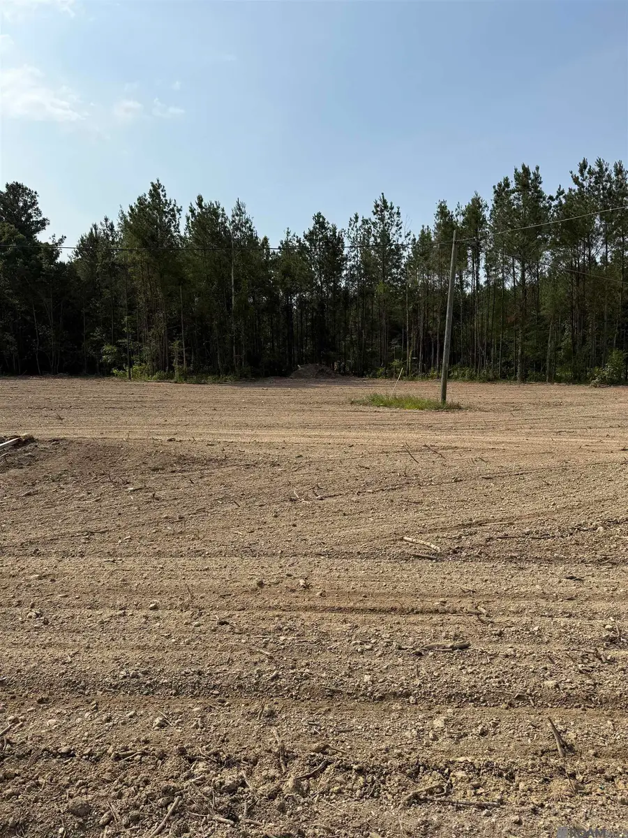 19043 La Hwy 444, Livingston, LA 70754 - Image #3