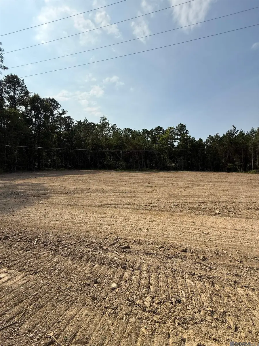 19025 La Hwy 444, Livingston, LA 70754 - Image #3