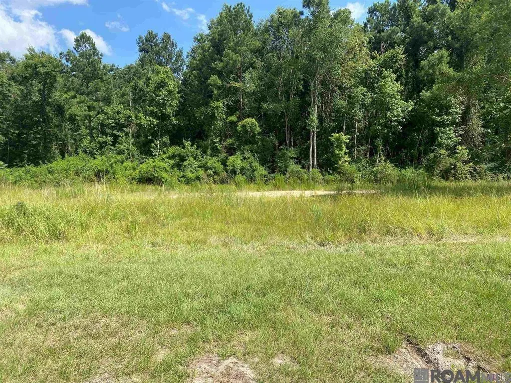 36658 La Hwy 16, Denham Springs, LA 70706 - Image #1