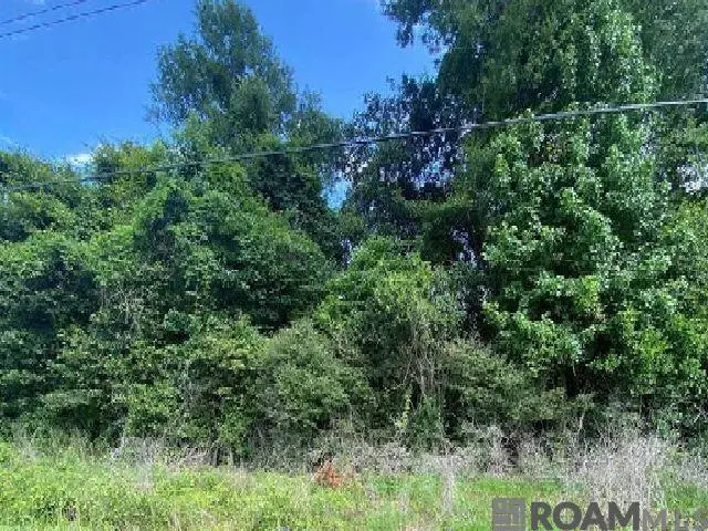 36648 La Hwy 16, Denham Springs, LA 70706 - Image #1