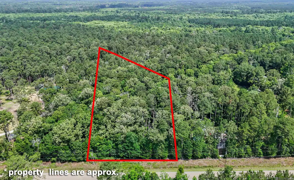 La Hwy 42, Livingston, LA 70754 - Image #1