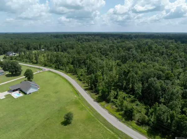 Lot 2-D Lost Oak Ln, Livingston, LA 70754