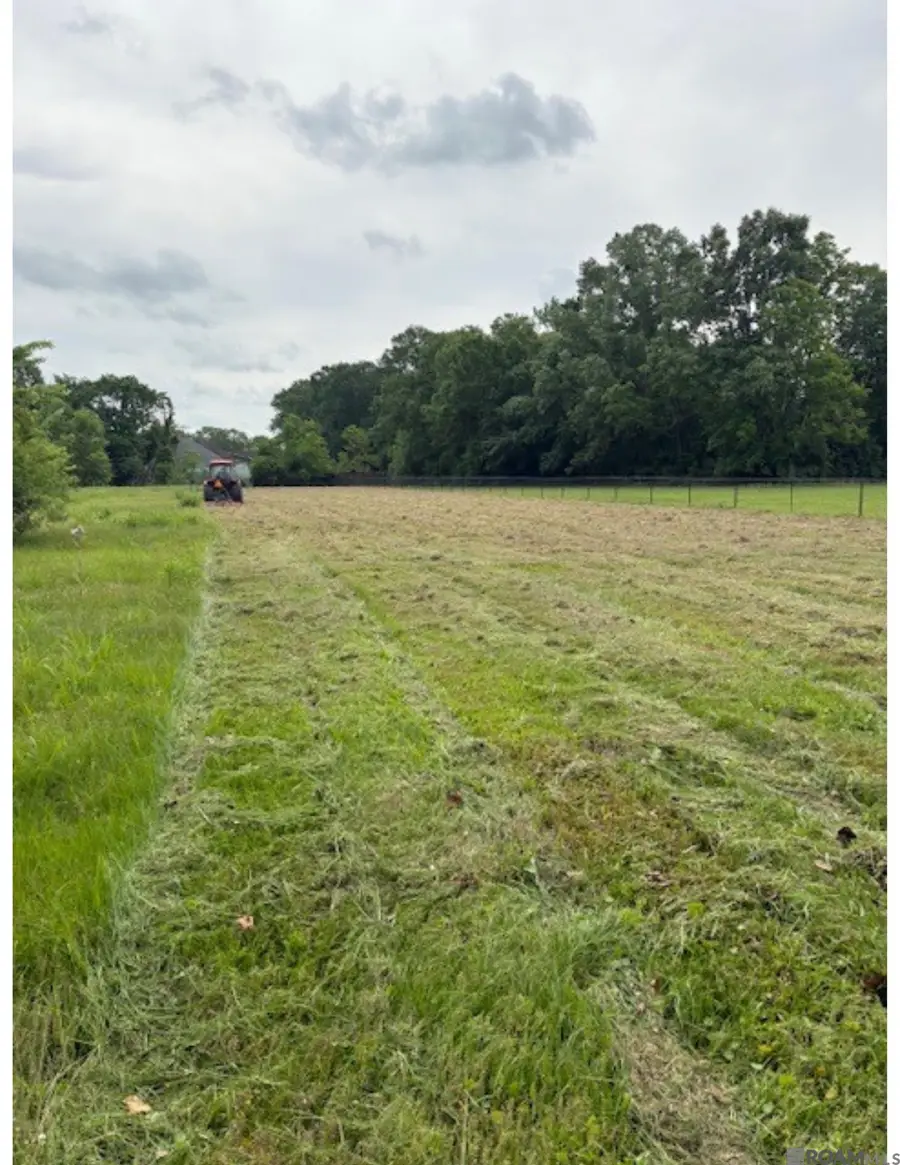 15040 La Hwy 73, Prairieville, LA 70769 - Image #2
