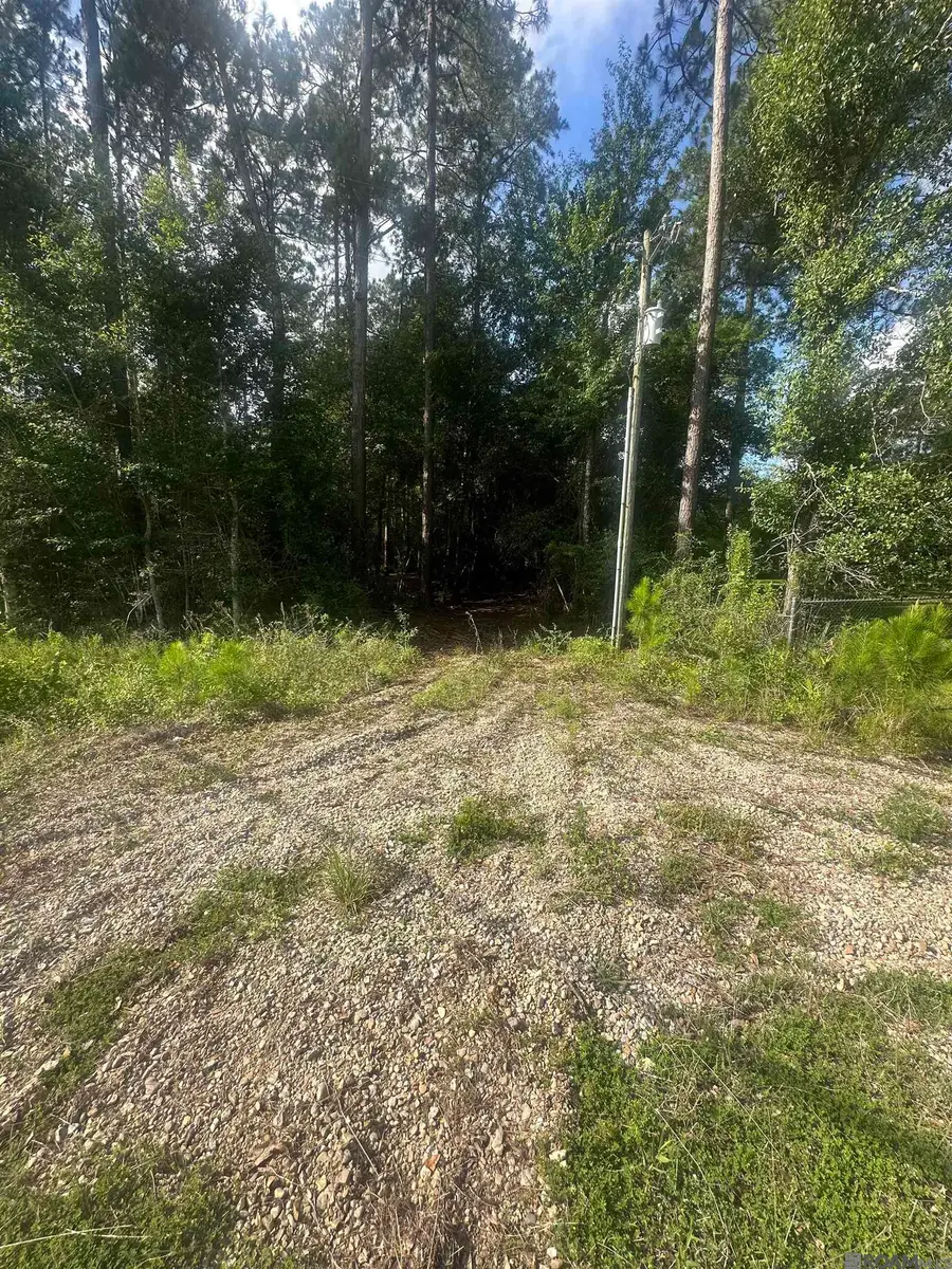 Hwy 435, Abita Springs, LA 70420 - Image #3