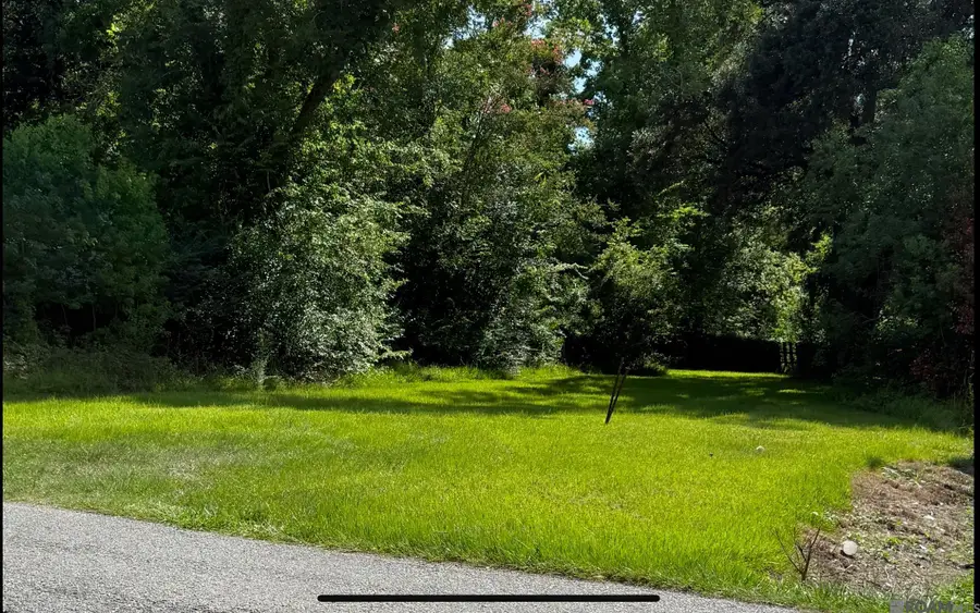 319 N Marchand Ave, Gonzales, LA 70737 - Image #2