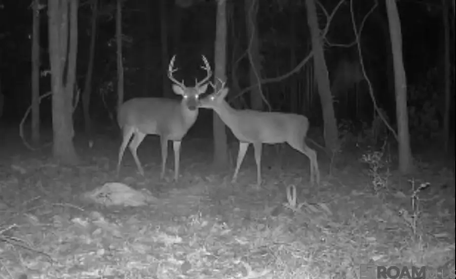 RS-2&3 La Hwy 16, Denham Springs, LA 70706 - Image #3