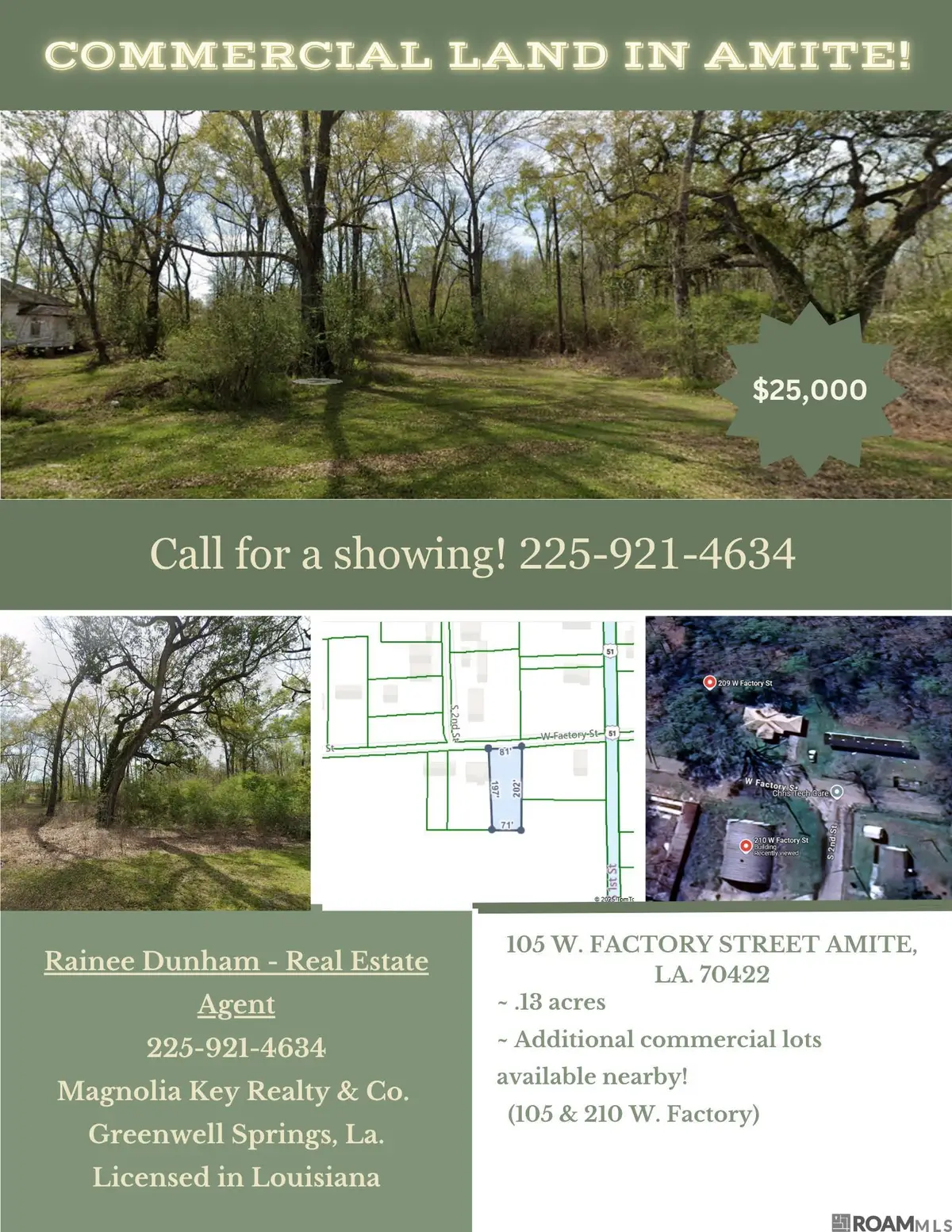 209 W Factory St, Amite, LA 70422 - Image #1